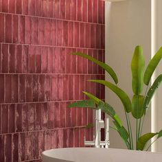 there is a plant in the corner of this bathtub with red tiles on it