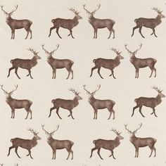 an image of many deers with antlers on it's back and sides