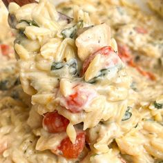 a spoon full of pasta with spinach and tomatoes