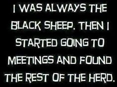 a black and white photo with the words, i was always the black sheep then started going to meetings and found the rest of the herd