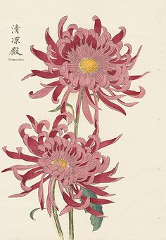 Vintage Japanese Woodblock Prints Desenho Tattoo