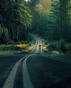 a person riding a motorcycle down the middle of a road in front of some trees