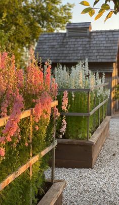 the garden is full of flowers and plants in wooden planters, along with gravel