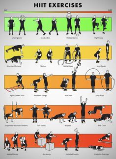 an exercise chart shows the different exercises that people use to do in their home gym