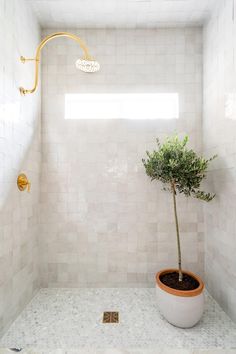 a potted plant in the corner of a white tiled bathroom with gold faucet