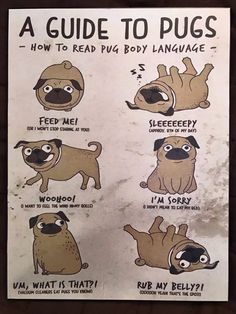 a sign with instructions on how to use a pug