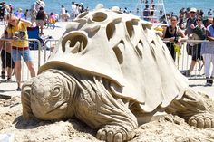 a sand sculpture of a turtle on the beach