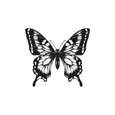 a black and white butterfly on a white background