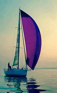 a sailboat with purple sails is in the water