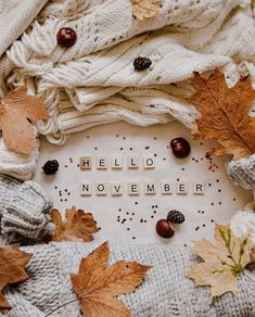 the words hello november written in white letters surrounded by autumn leaves and acorns