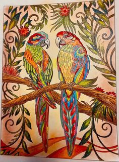 two colorful parrots are sitting on a branch