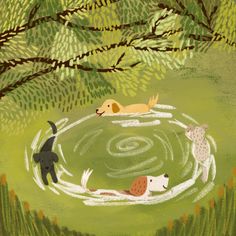 two dogs are swimming in a pond surrounded by green grass and trees, while another dog looks on