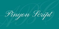 the word pinayo script in white on a teal green background