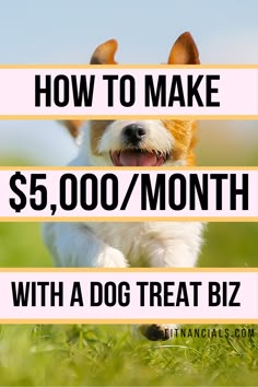 a dog running through the grass with text overlaying how to make $ 5, 000 / month with a dog treat biz