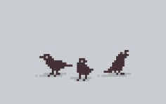 three pixellated birds walking in the same direction