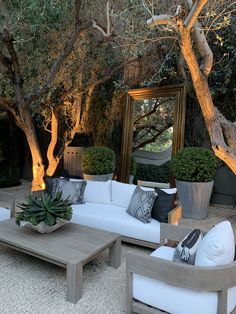 an outdoor living area with couches, tables and potted trees in the background