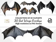 the bat wings are very large and have different shapes, but they can be used to decorate