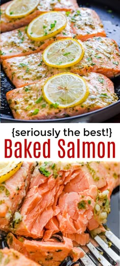 baked salmon with lemons and parsley on the side