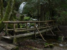 a wooden bridge over a small stream in the woods with moss growing on it's sides