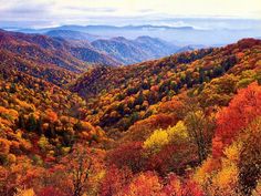 an aerial view of the mountains with trees in fall colors and green, yellow, orange and red foliage