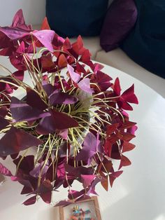 a vase filled with purple flowers sitting on top of a white table next to a blue pillow