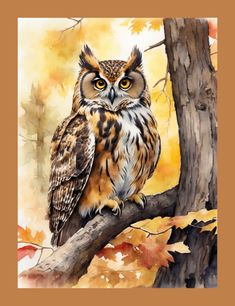 an owl sitting on top of a tree branch in front of fall colored trees and leaves