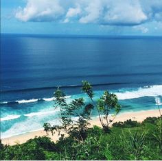 an ocean view from the top of a hill with trees and bushes in front of it