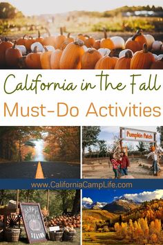 the california in the fall must - do activities with pictures of pumpkins and trees