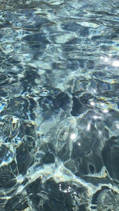 the water is very clear and blue with little ripples on it's surface