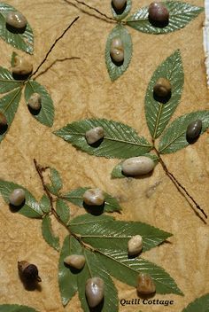 some leaves and nuts on a piece of paper with the words quilt cottage written below it