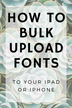 the text how to bulk upload font on an image of succulents