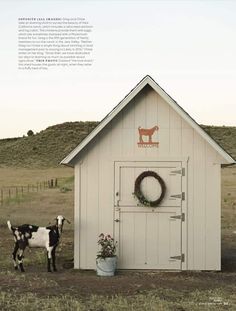 a cow standing in front of a barn with a wreath on it's door