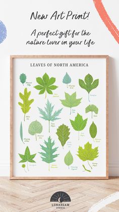 the leaves of north america are shown in this printable poster, which reads new art prints