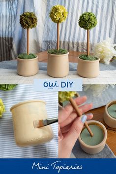 three pictures showing how to make mini topiary trees in clay pots with paintbrushes