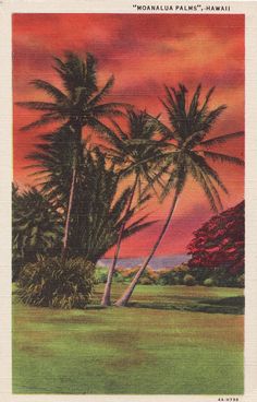 an old postcard with palm trees in the foreground and red clouds in the background