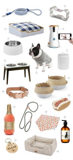 the ultimate guide to buying and selling dog products