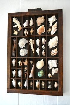 a wooden box filled with lots of sea shells