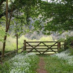 a wooden gate in the middle of a field with trees and grass around it, surrounded by greenery