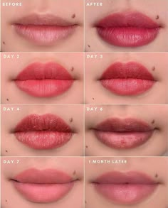 Permanent Blush Tattoo, Lip Blushing Healing Process, Pmu Lips Healing Process, Ombre Lip Blush, Lip Blushing Tattoo Before And After Colors, Lip Blushing Tattoo Before And After Healed, Healed Lip Blush, Lip Blushing Tattoo Healing