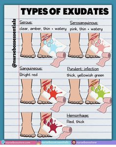 different types of exculates on lined paper with the words in red, green and blue