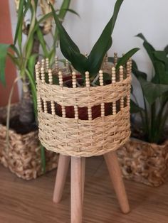 a plant in a wicker basket sitting on top of a wooden table next to potted plants