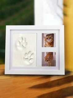 an orange cat sitting in front of a white frame with paw prints on it