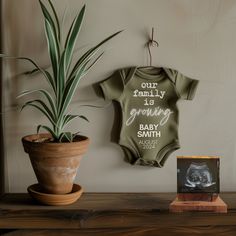 a baby's bodysuit hanging on the wall next to a potted plant