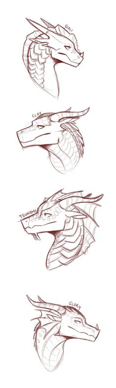 three drawings of different types of dragon heads and wings, each with one head facing the other