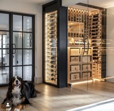 a dog laying on the floor in front of a wine cellar with glass doors open