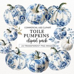 the blue and white pumpkins are arranged in a circle with text that reads commercial use clipart toile pumpkin's clipart pack