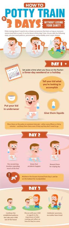 How to Potty Train in 3 Days Without Losing Your Sanity Three Day Potty Training, Potty Training 101, Potty Training Methods, Boys Potty, Best Potty, How To Potty Train