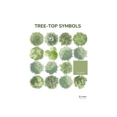 the tree - top symbols are shown in green and gray colors, with white background