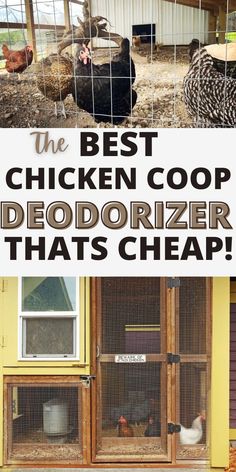 the best chicken coop deodorizer that's cheap