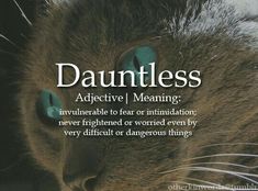 a close up of a cat's face with the words dauntless above it